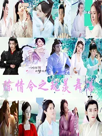 陈情令之珑羡舞湛