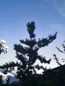 王子“出走”记