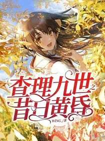 查理九世之昔日黄昏