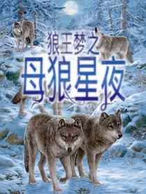 狼王梦之母狼星夜