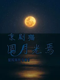 京剧猫之圆月光焉