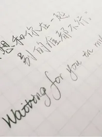 推书小铺子
