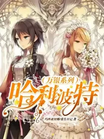 哈利波特（万银系列）