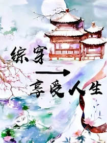 综穿之享受人生