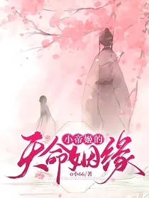 小帝姬的天命姻缘