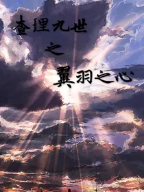 查理九世之翼羽之心