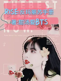 R1SE：反玛丽苏手册