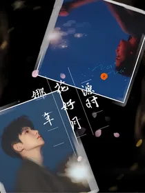 源娜：娜年花好月源时