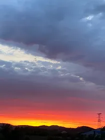 你好，我的蛇王大人。