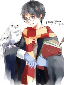 魔法世界后传