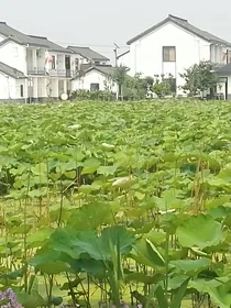 爆裂飞车之守护未来-d142