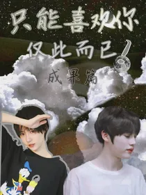 只能喜欢你仅此而已:成果篇