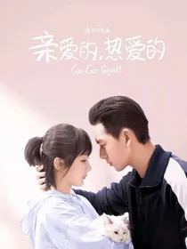 亲爱的热爱的之注定错过