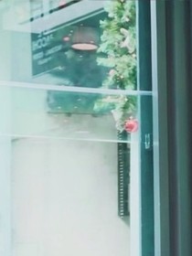 霸道总裁爱上我(纯娱乐勿喷)