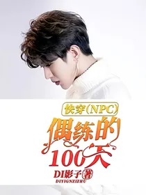 快穿（NPC）：偶练的100天