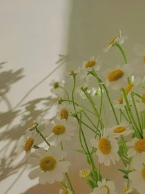 秦霄贤:心动预警