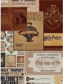 hp穿越到亲世代玛丽苏文