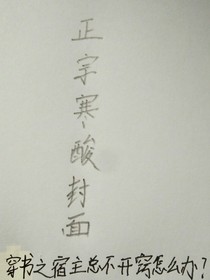 穿书之宿主总不开窍怎么办？