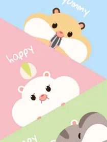 我的快手经历