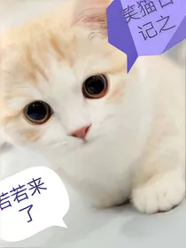 笑猫日记若若来了