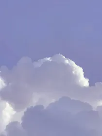 边伯贤：你怕不是个傻子吧