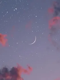 宋小姐de心灵鸡汤