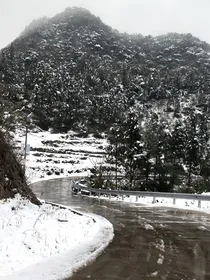 棠梨叙