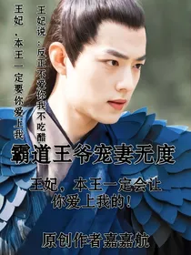 霸道王爷宠妻无度