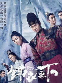 锦衣之下：今夏公主