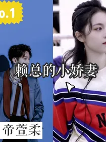 赖总的小娇妻