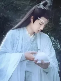 陈情令之含光君的道侣
