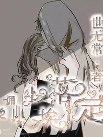 佣空：尘埃落定