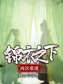 锦衣之下：再次重逢