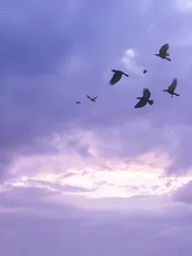系统是个坑