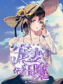宠妻狂魔之帝少轻点爱