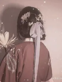 穿越之复仇。