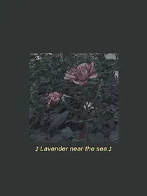 《小丑与玫瑰》