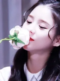 攻略日记之恋爱循环