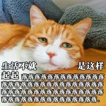 那些年，本人的迷之操作