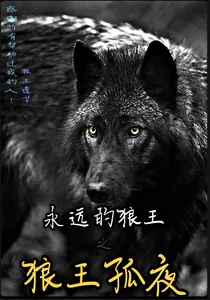 狼王孤夜之永远的狼王