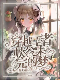 穿越王者峡谷：未做完的梦