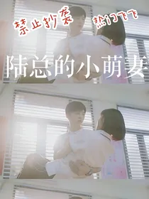 陆总的小萌妻