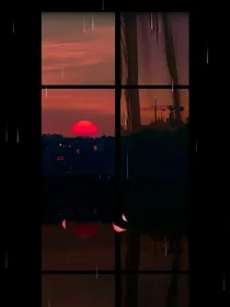 金主大佬快看我