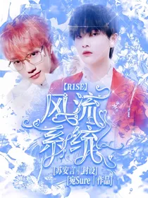 R1SE：风流系统