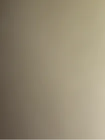 精灵宝可梦 新~旧