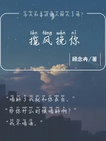 揽风挽你