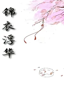 锦衣浮华