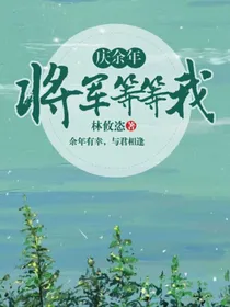 庆2：将军等等我