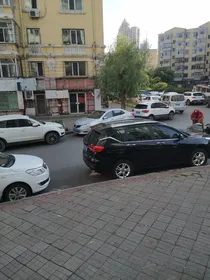 关于小花仙精灵王总纲