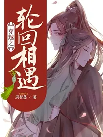 穿越之轮回相遇